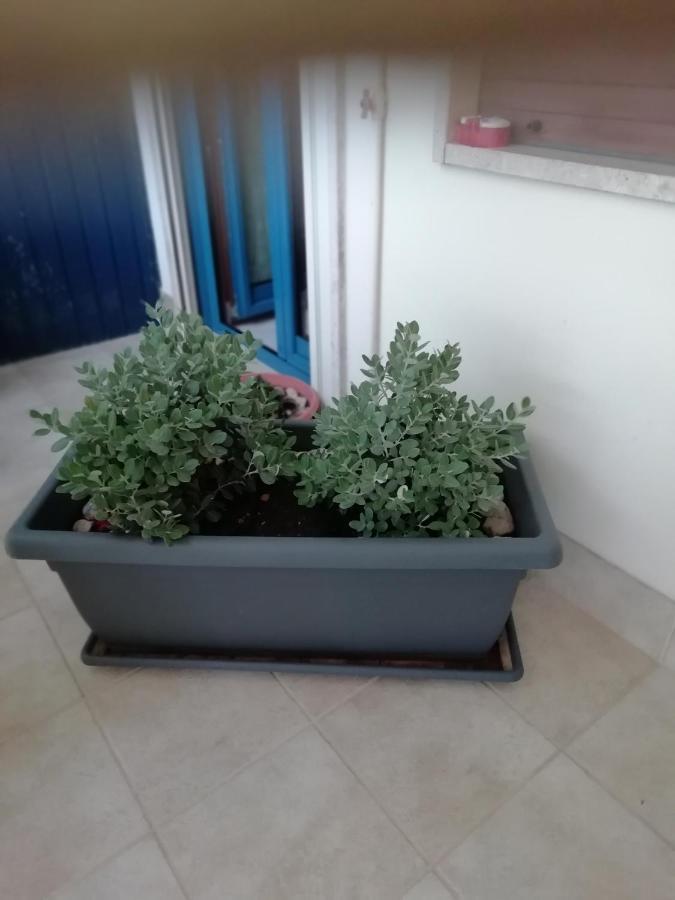 Da Luigi Locazioni Brevi Turistiche Bed & Breakfast Monopoli Bagian luar foto